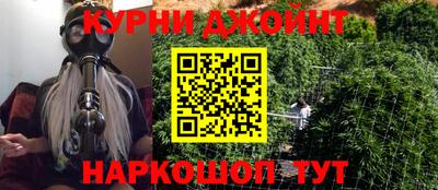 стаф Кинель
