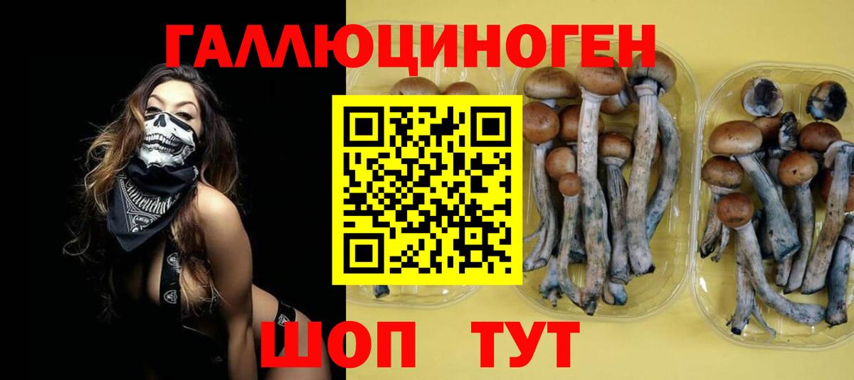 Галлюциногенные грибы прущие грибы Крымск